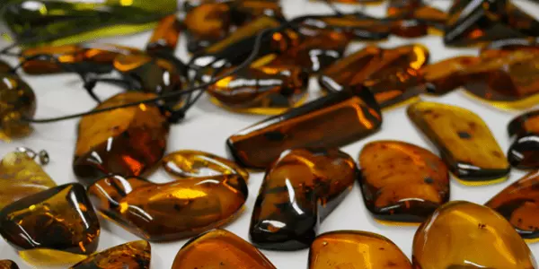 A collection of rare amber at the Singapore jewellery school JDMIS